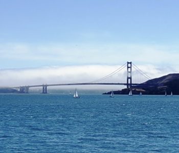 Tiburon ferry