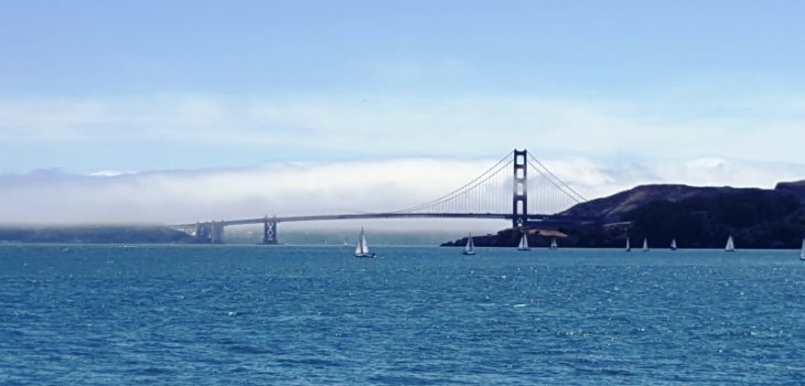 Tiburon ferry