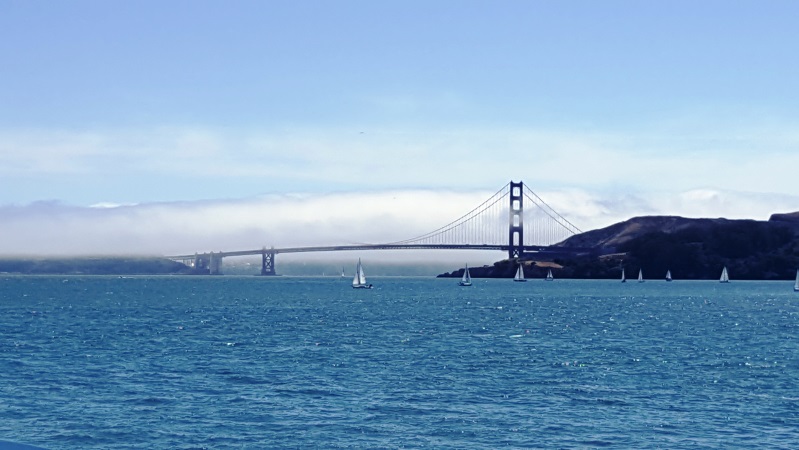 Tiburon ferry