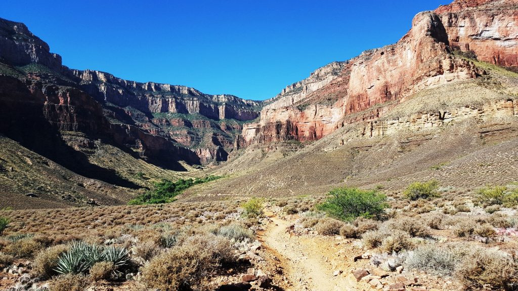 Grand Canyon