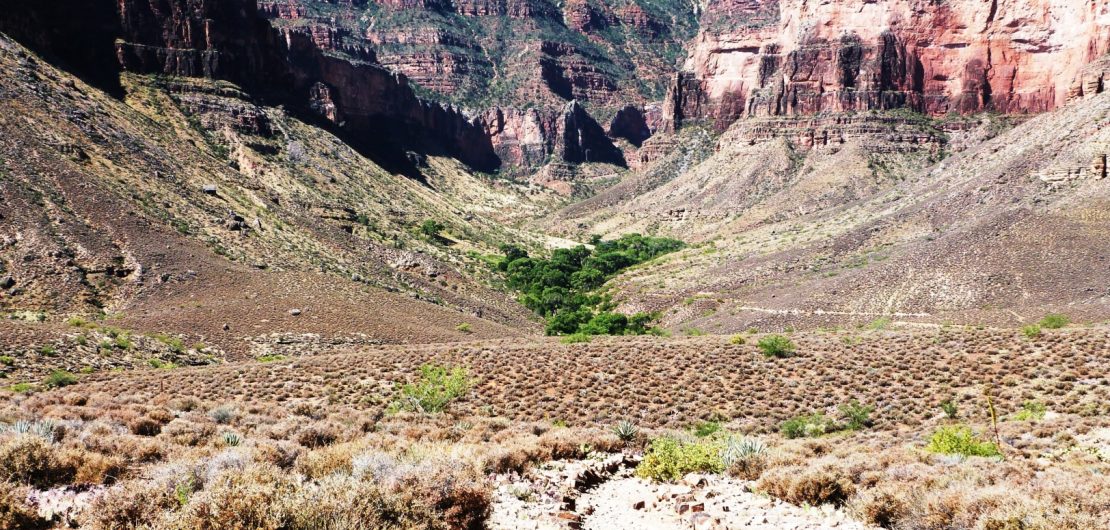 Grand Canyon Bright Angel Trail