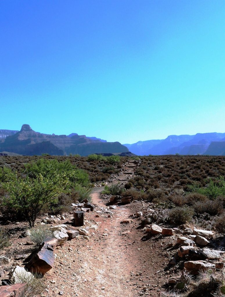 Grand Canyon