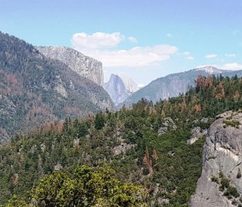 Yosemite View