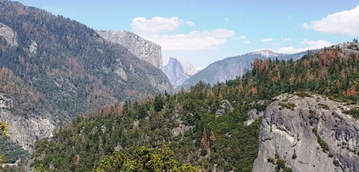 Yosemite View