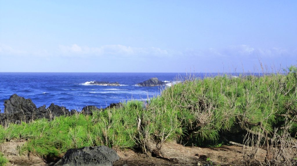 Sentier littoral Etang Salé