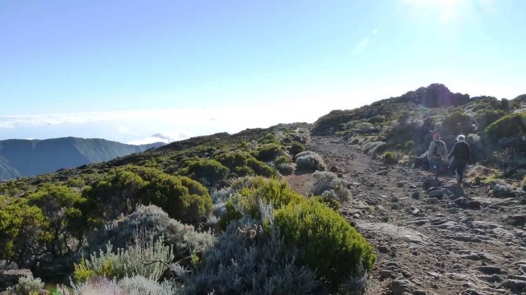 Sentier Piton de la Fournaise