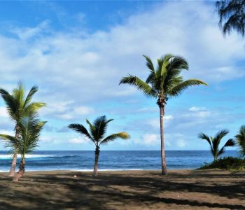 Etang Salé Plage