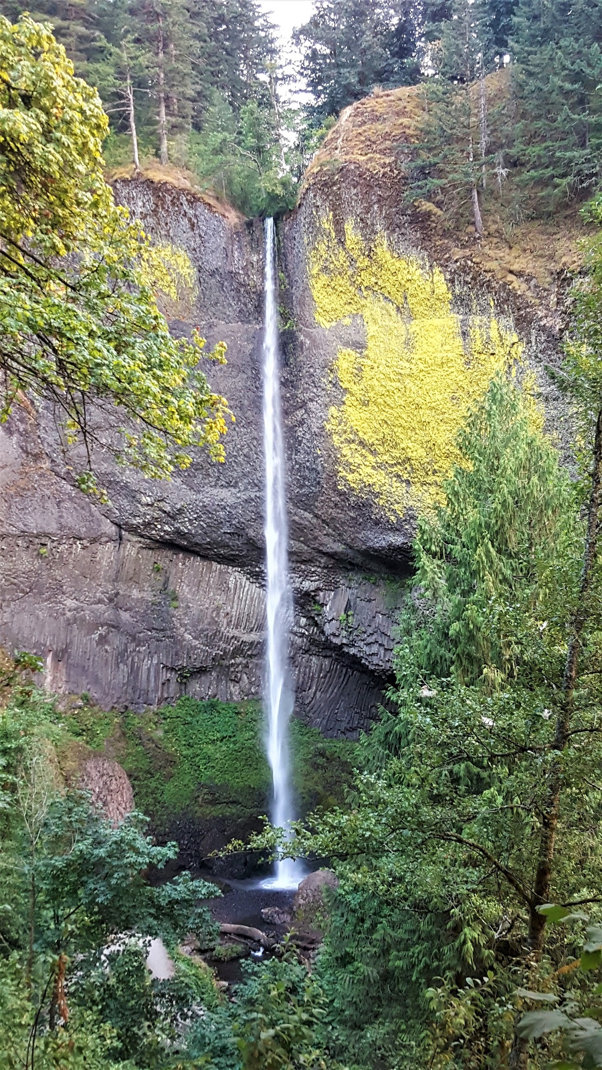 Latourell falls Oregon