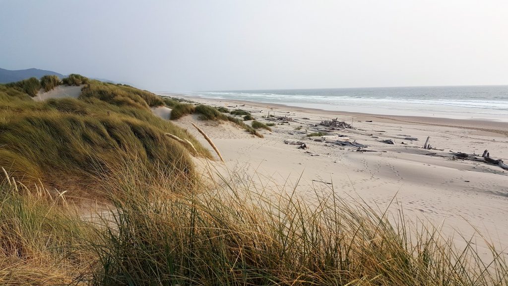 Oregon Coast Nehalem Bay