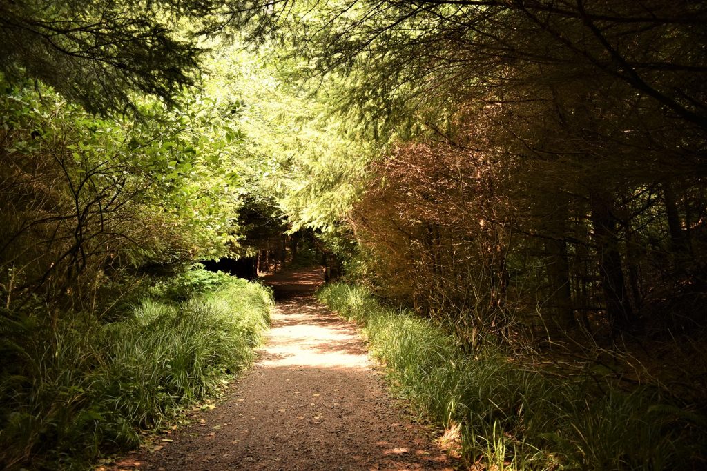 Map Clatsop trail