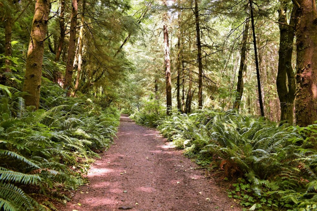 Map Clatsop trail