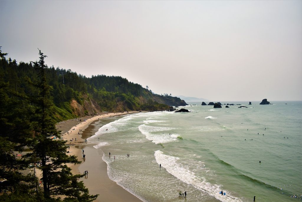 Clatsop Loop Trail viewpoint