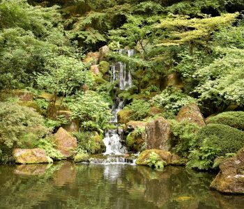 Japanese Garden Portland