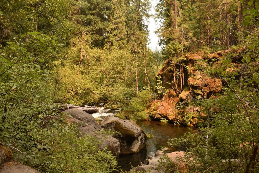 Toketee Falls Trail