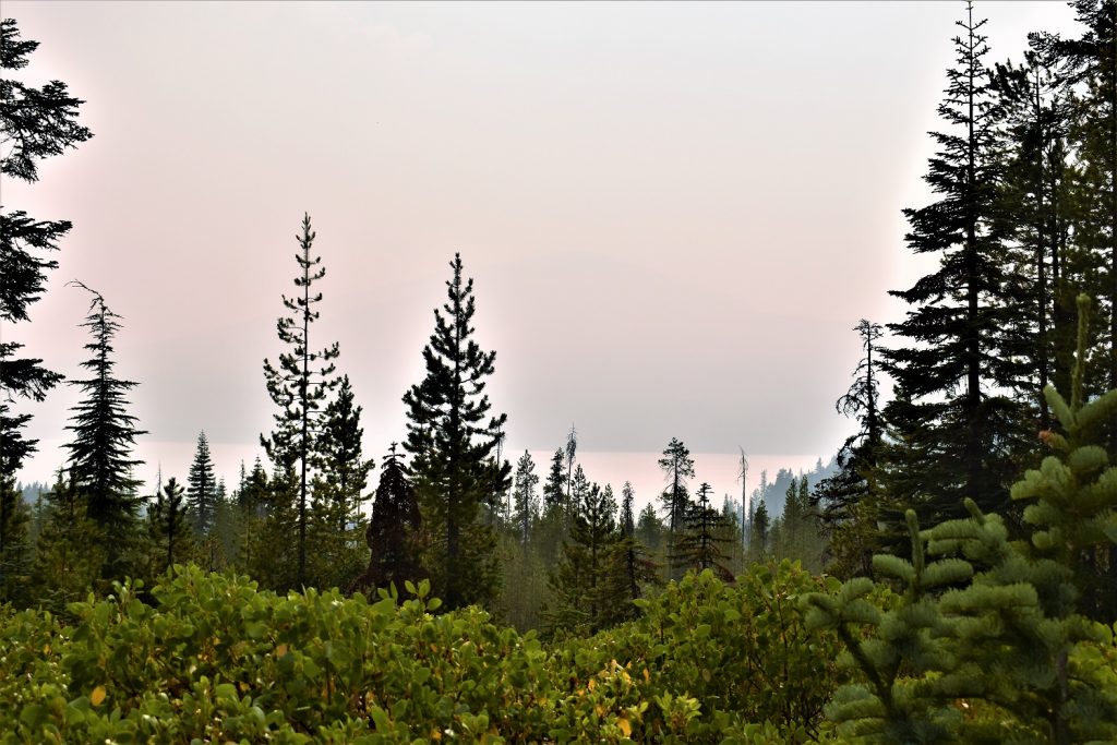 Diamond Lake Oregon Central