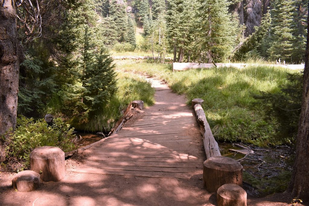 Castle Crest Wildflower Garden