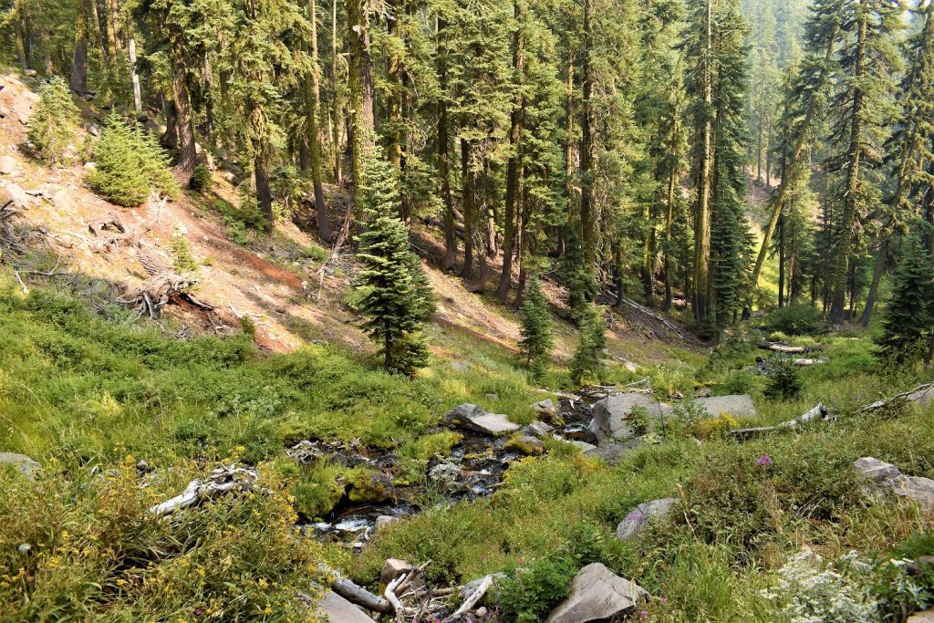 Plaikni falls trail Crater Lake