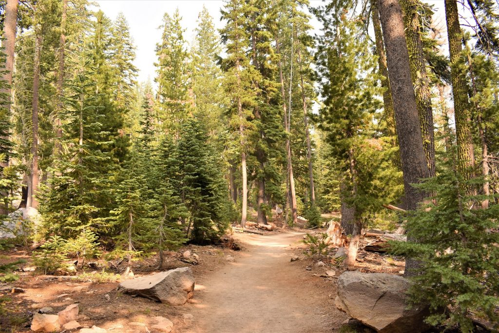 Plaikni falls trail map