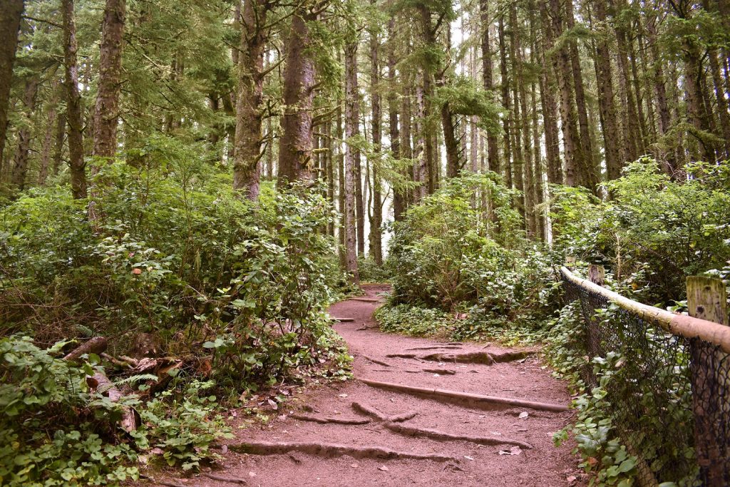 Cape Meares Oregon