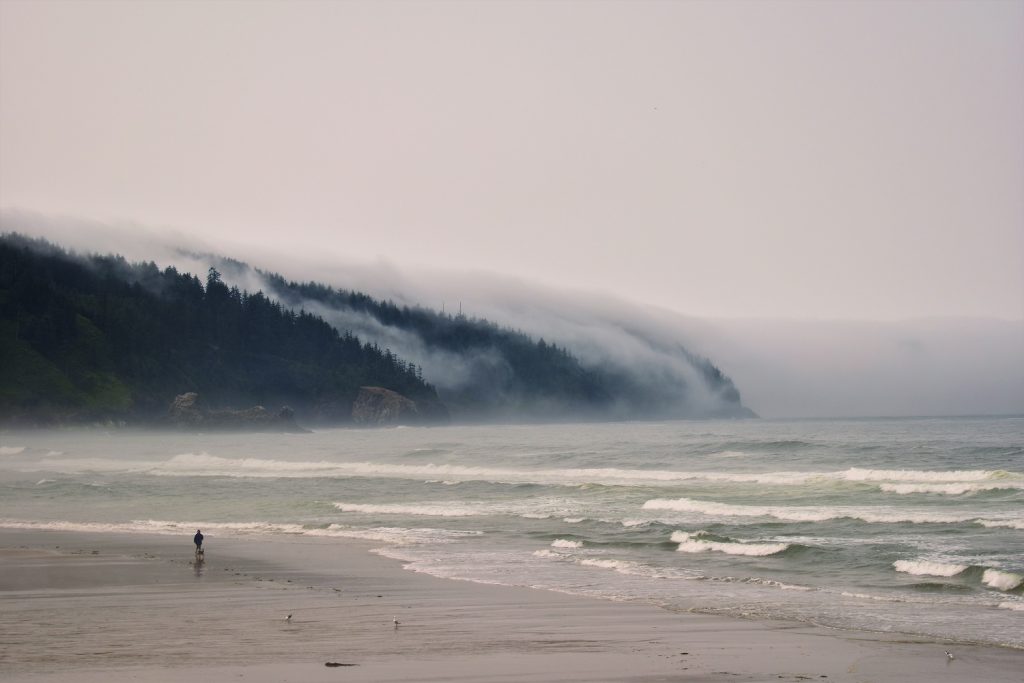 Cape Lookout Oregon