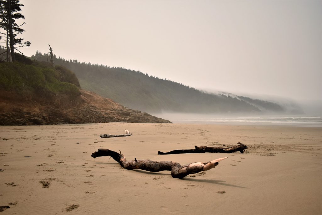 Cape Lookout Oregon