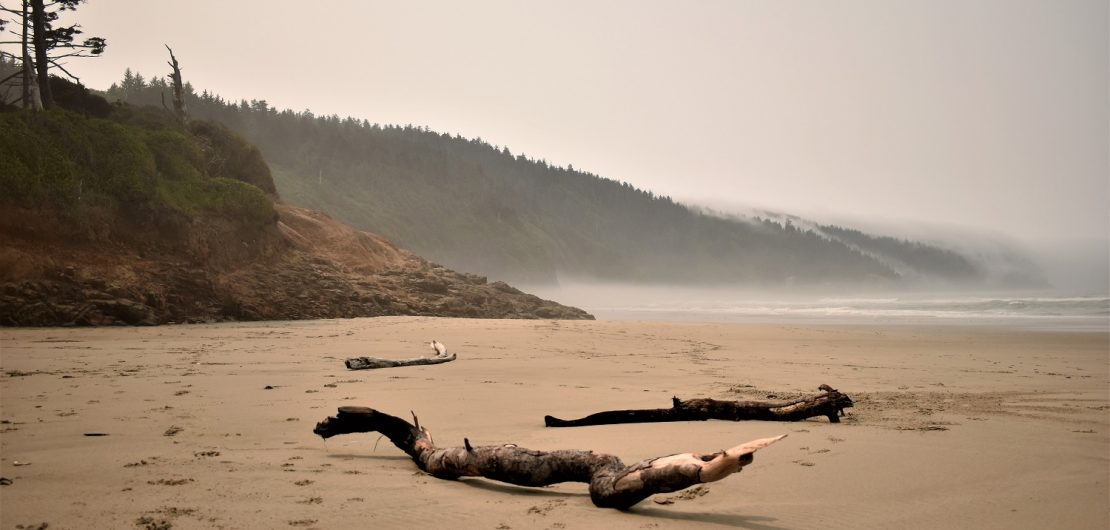 Cape Lookout Oregon