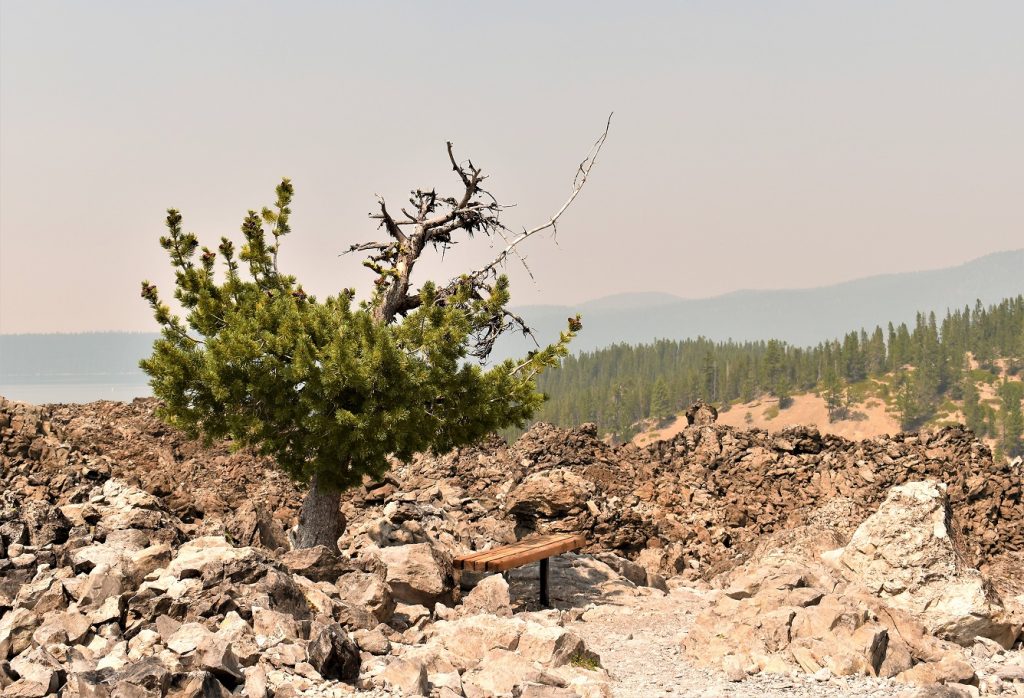 Big Obsidian Flow