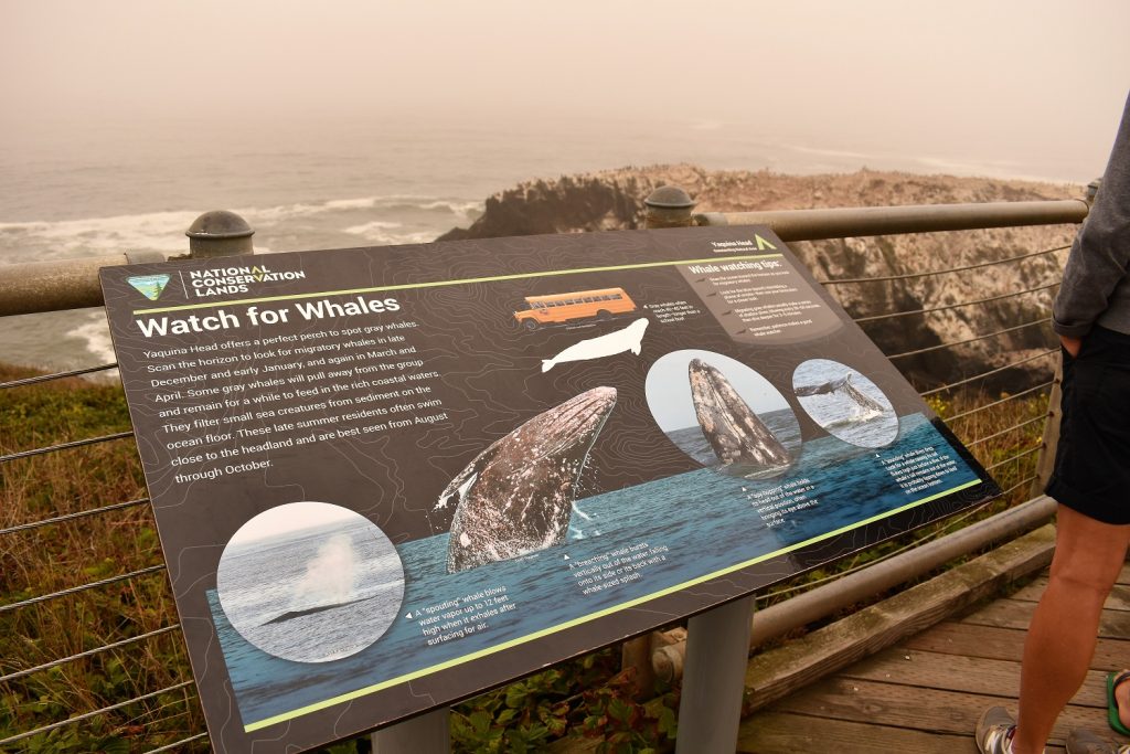 Yaquina Head Lighthouse