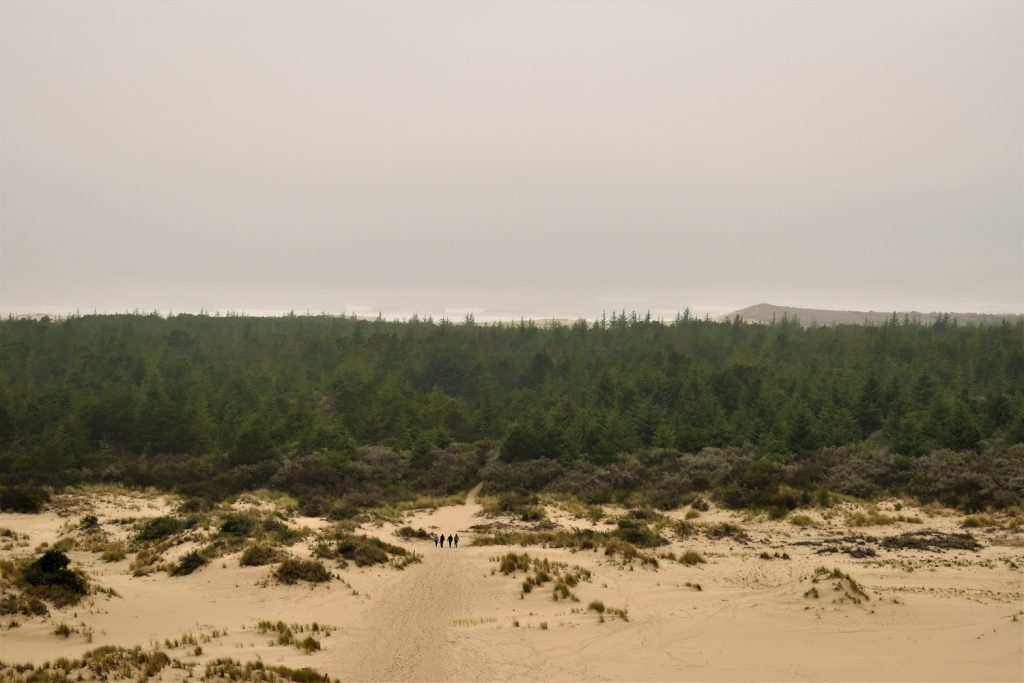 Oregon Dunes