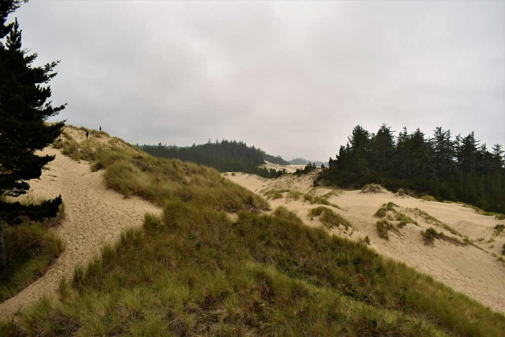 Oregon Dunes