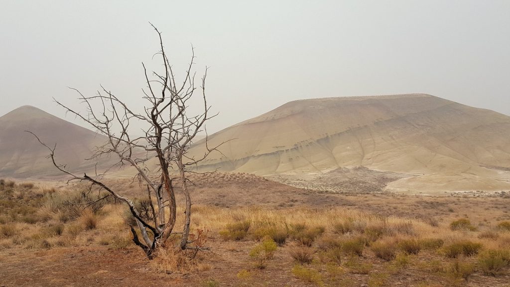 Painted Hills Oregon