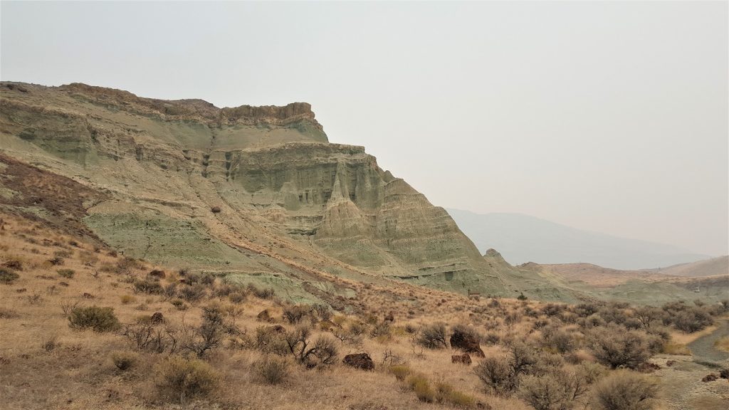 Foree - Sheep Rock Unit