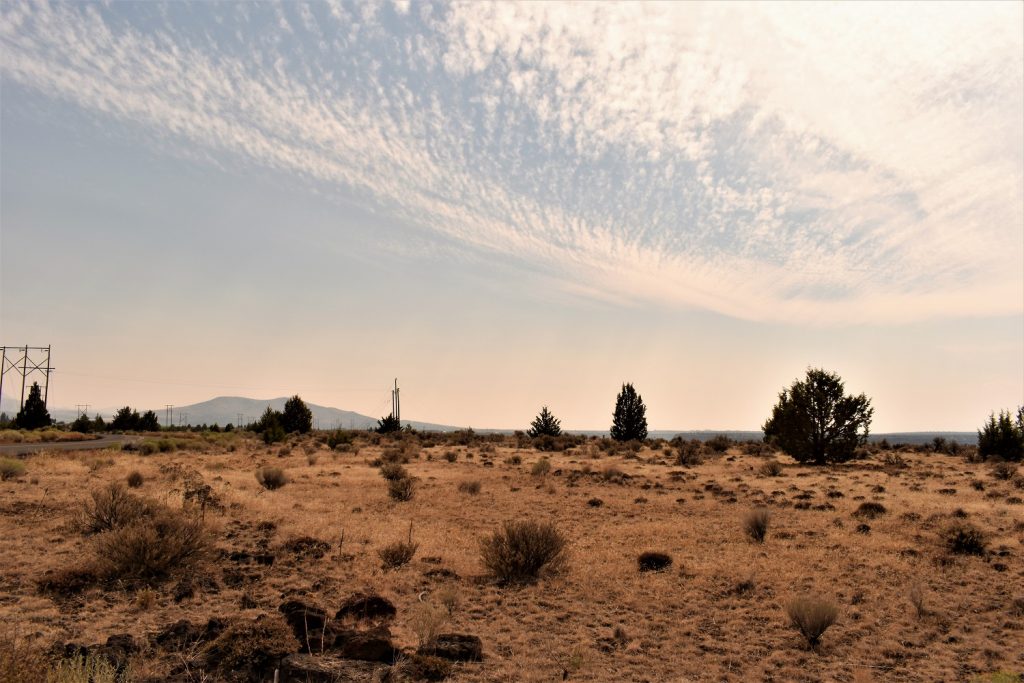 Cove Palissades State Park