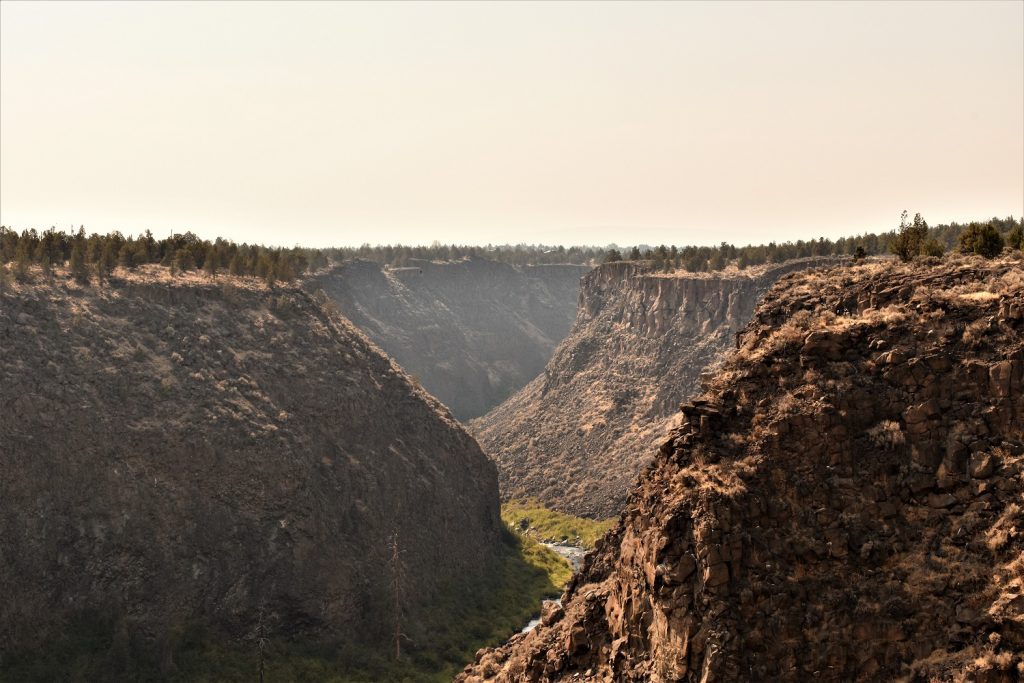 Peter Skene State Park