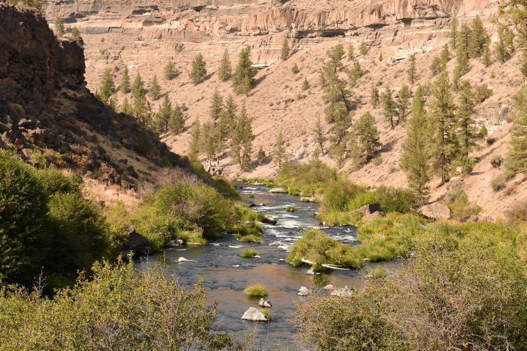 Steelhead Falls