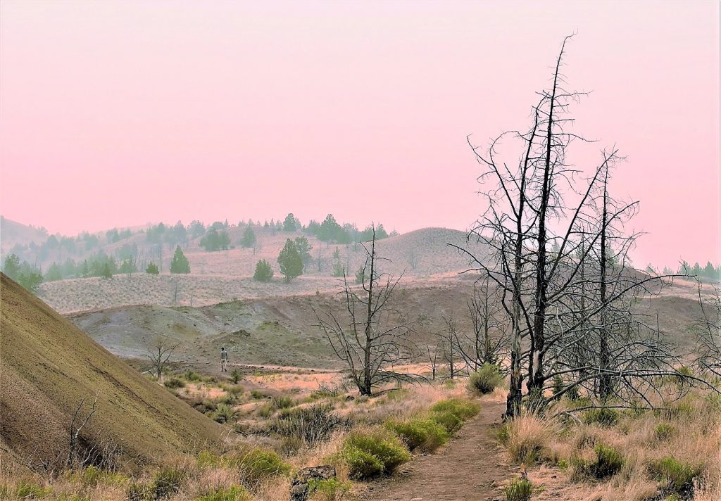 Red Hill Oregon