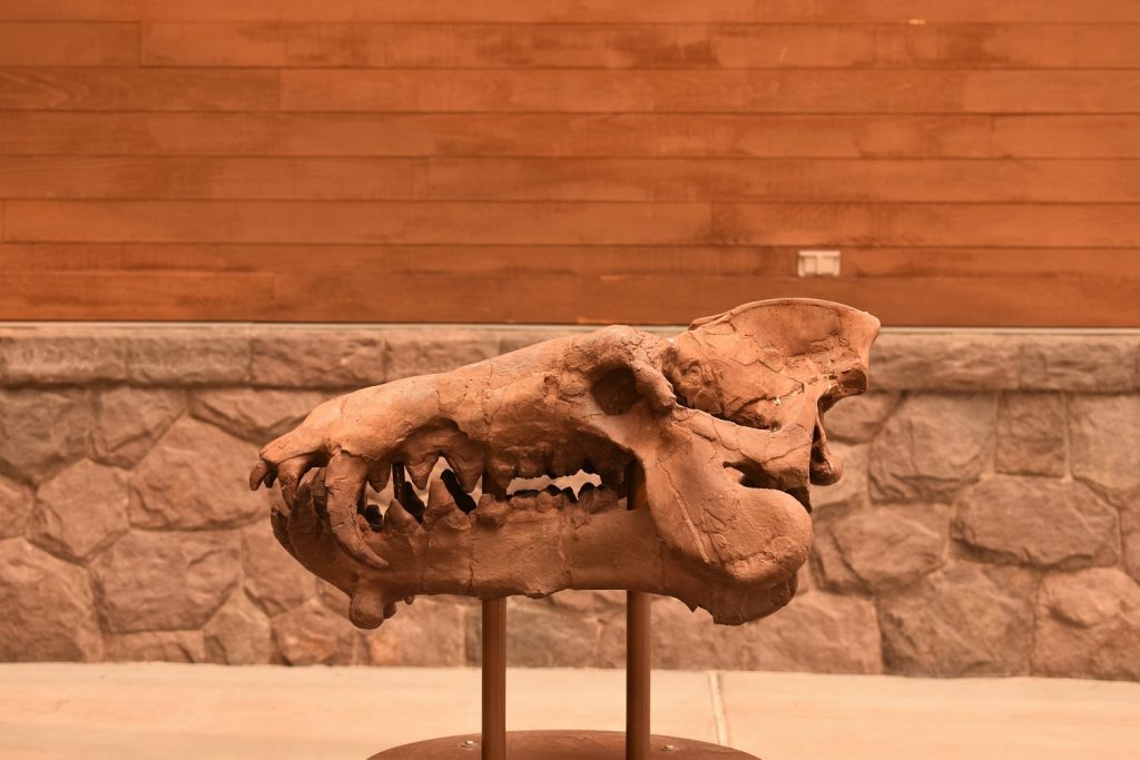 Thomas Condon Paleontology Center