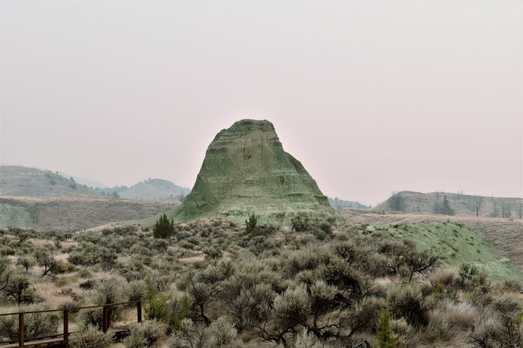 Foree - Sheep Rock Unit