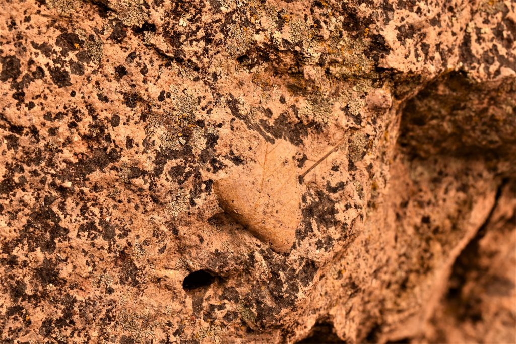 John Day Fossil Beds - Clarno Unit