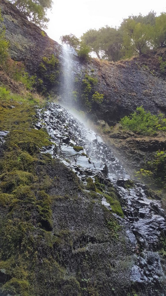 Double Falls - SIlver Falls SP