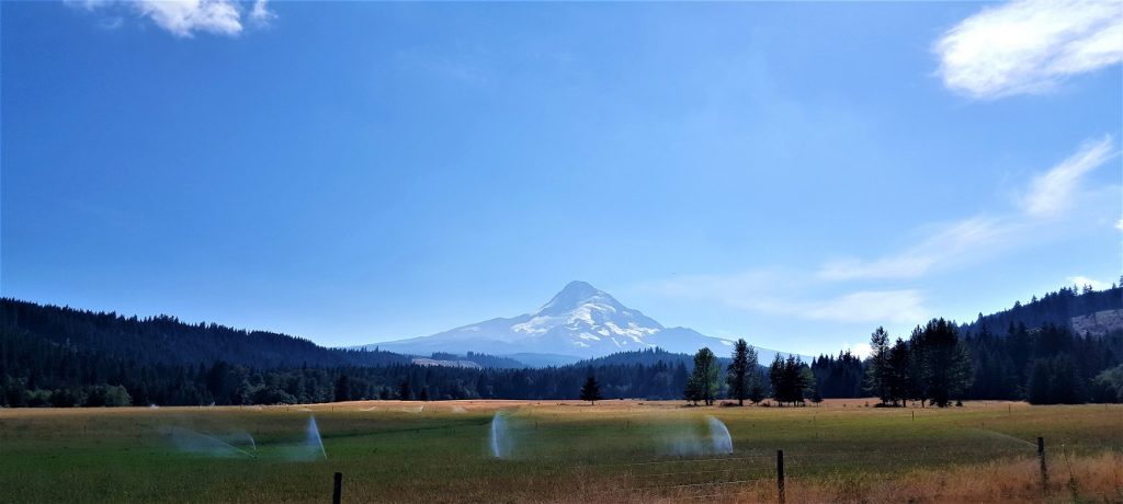 Mount Hood