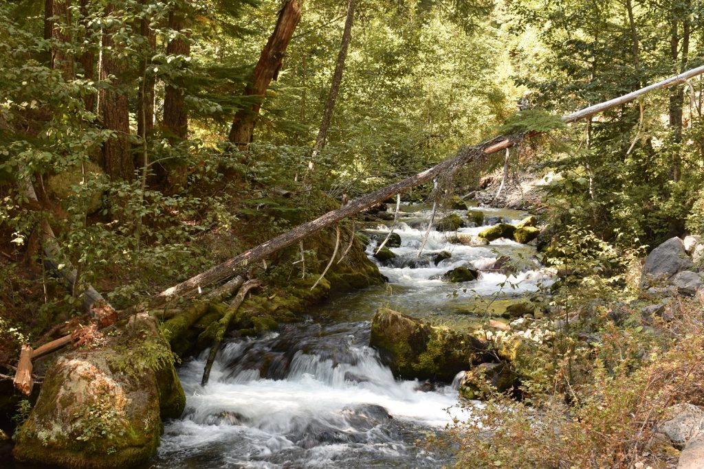 Tamanawas Falls trail