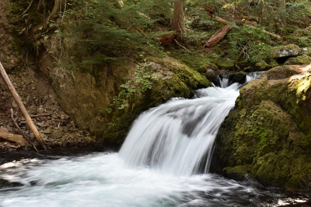 Tamanawas Falls trail