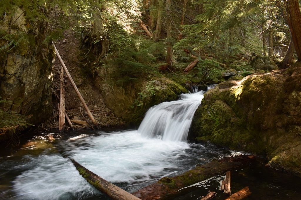 Tamanawas Falls trail