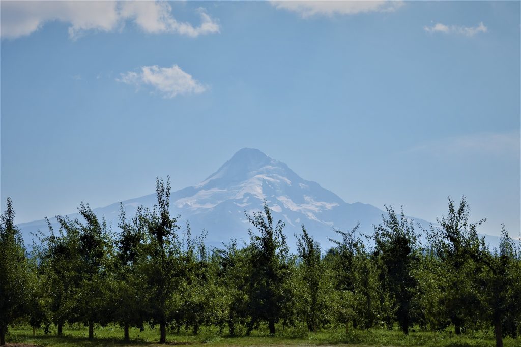 Mount Hood