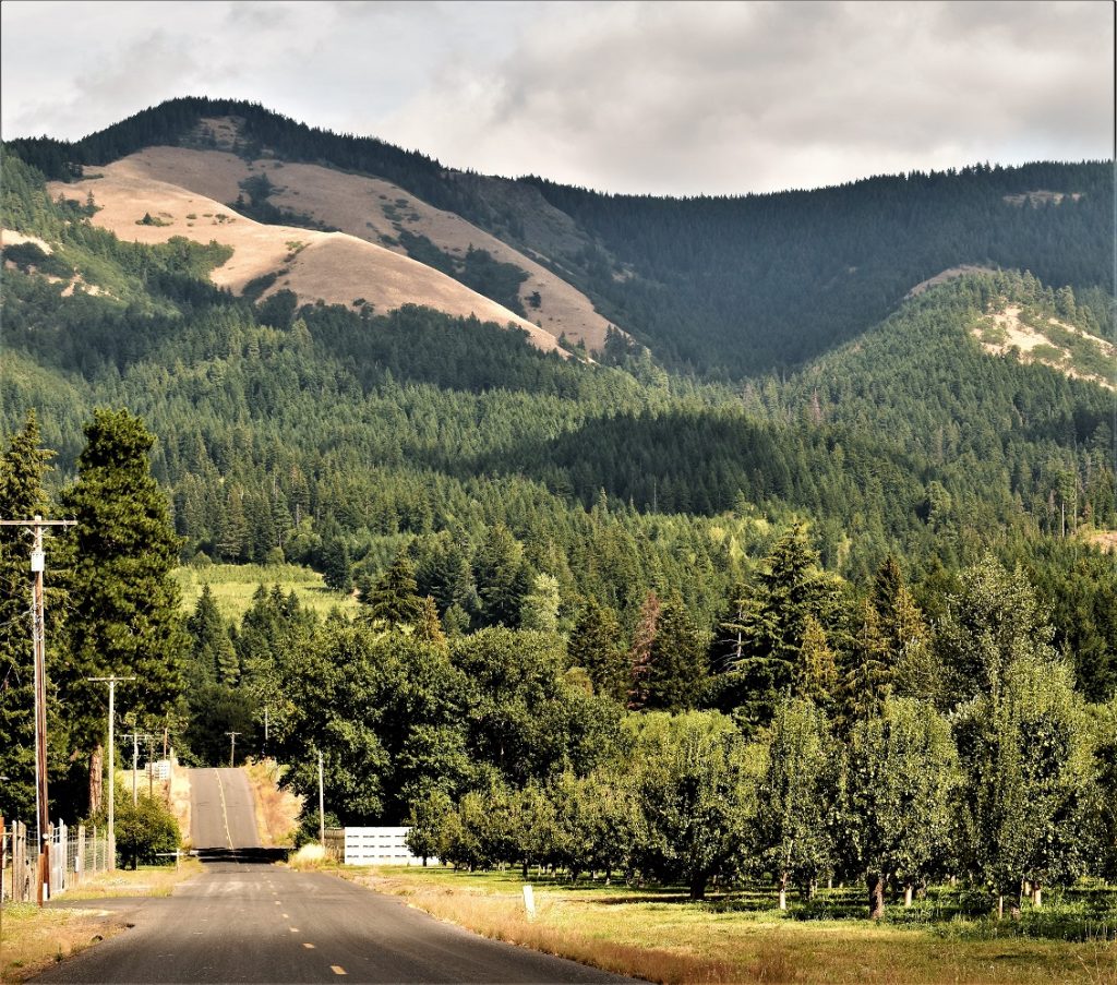 Mount Hood