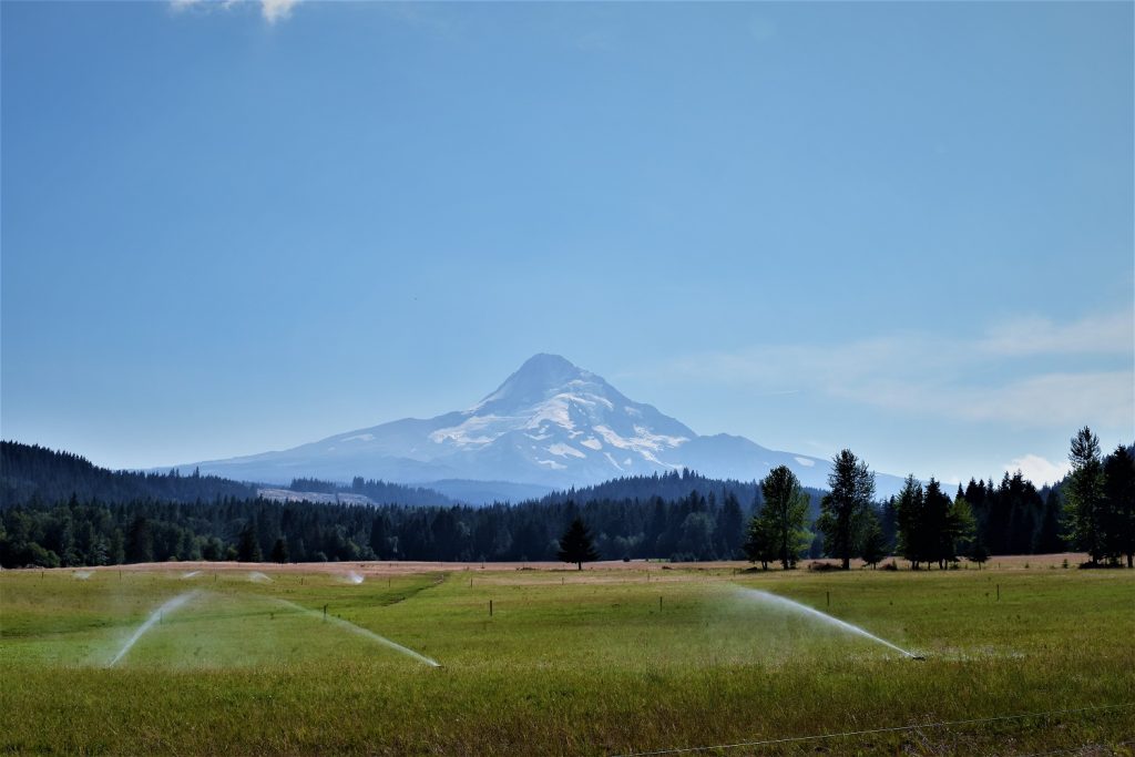 Mount Hood