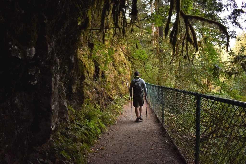 Ten Falls Trail - Silver Falls State Park