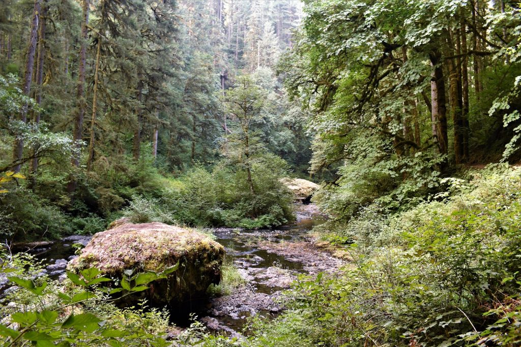 Ten Falls Trail - Silver Falls SP