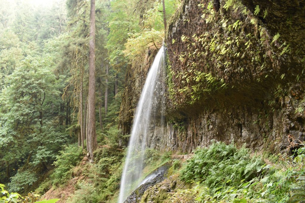 Middle North Falls - Silver Falls SP